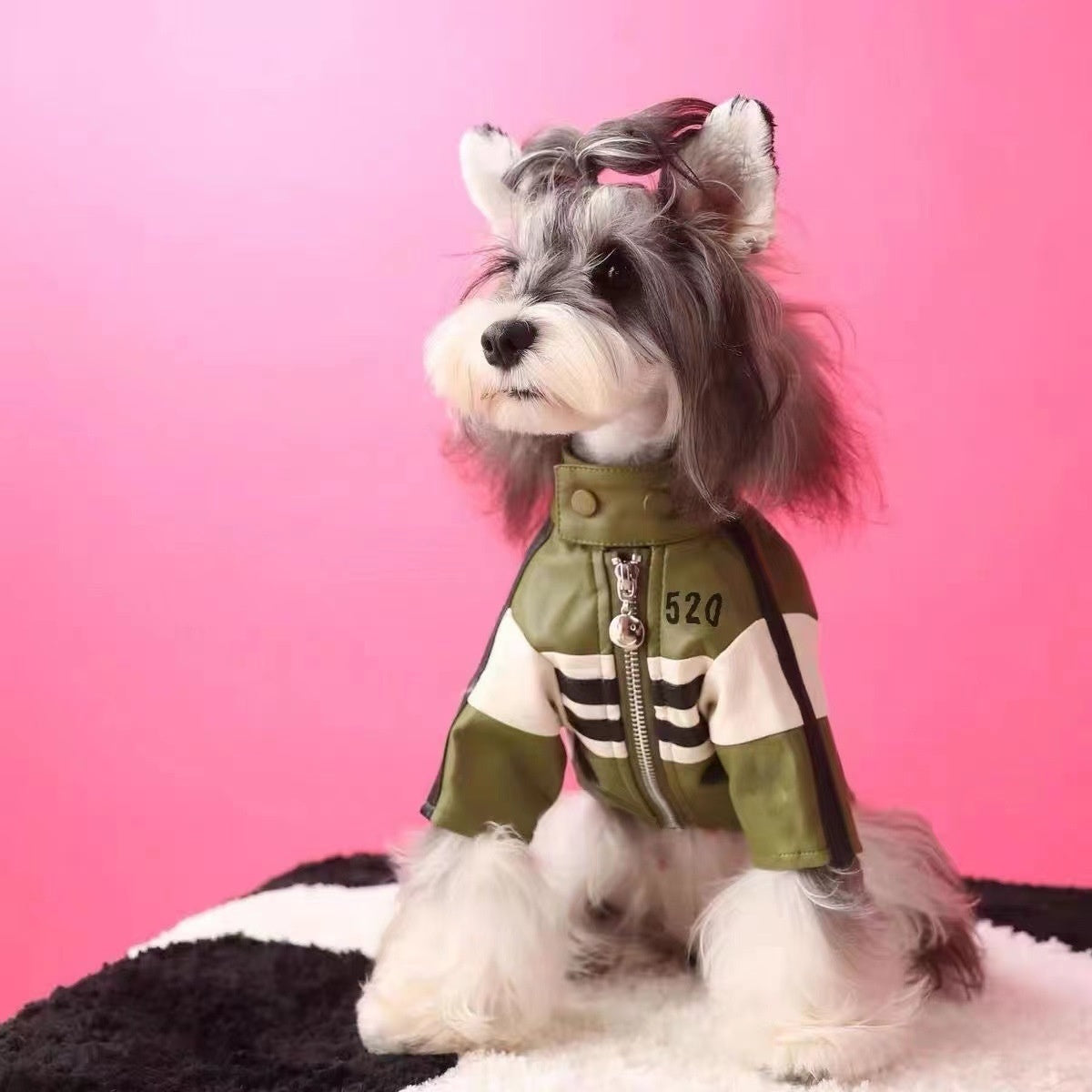 Dog Autumnwinter Clothing Motorcycle Jacket Coat