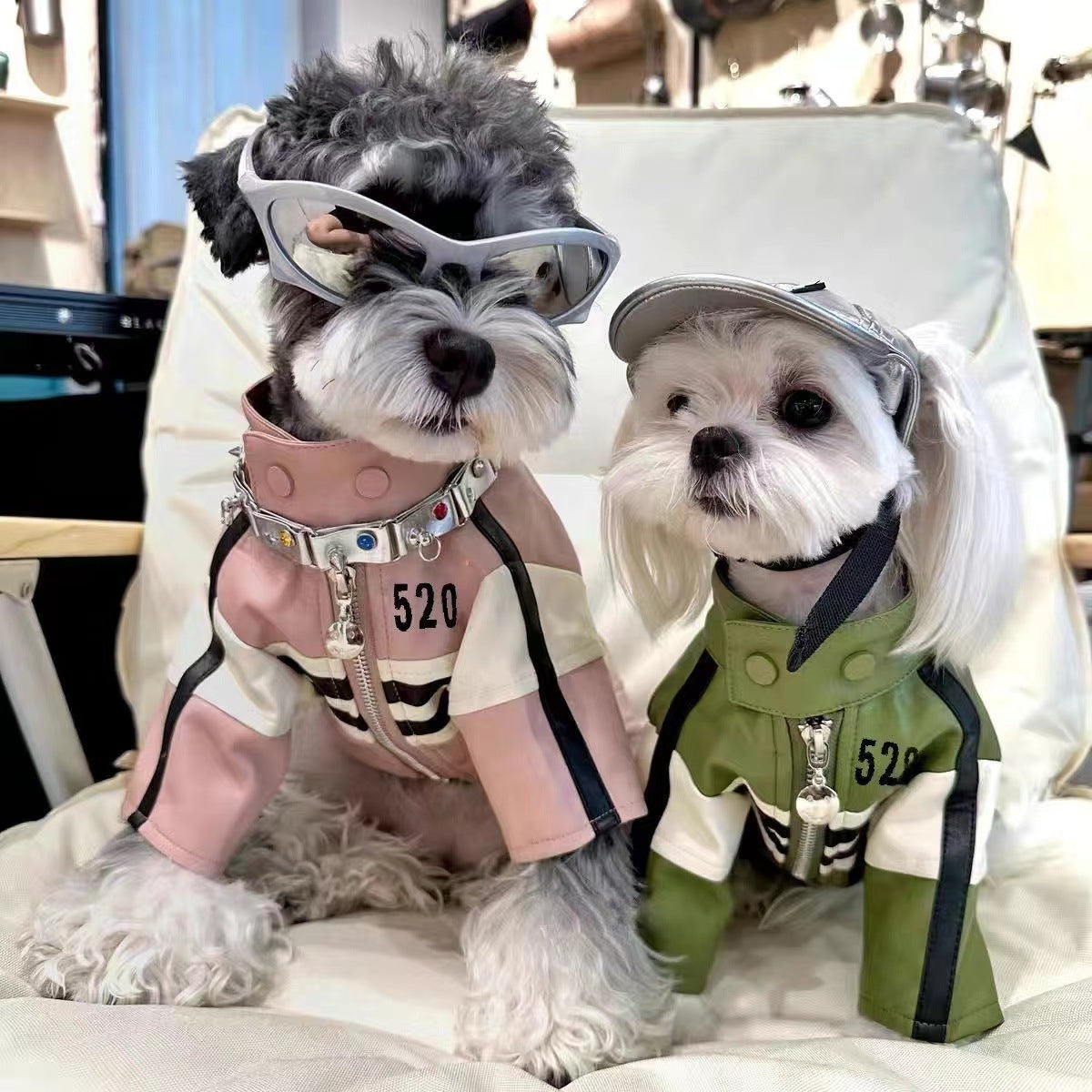 Dog Autumnwinter Clothing Motorcycle Jacket Coat