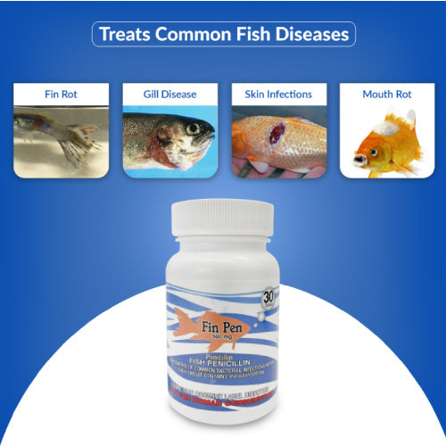 Fish Pen 500mg Capsules for Aquarium Fish – 30 Count – Water Care Support