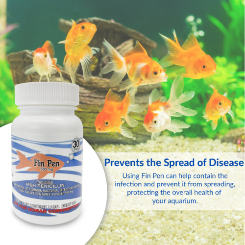 Fish Pen 500mg Capsules for Aquarium Fish – 30 Count – Water Care Support