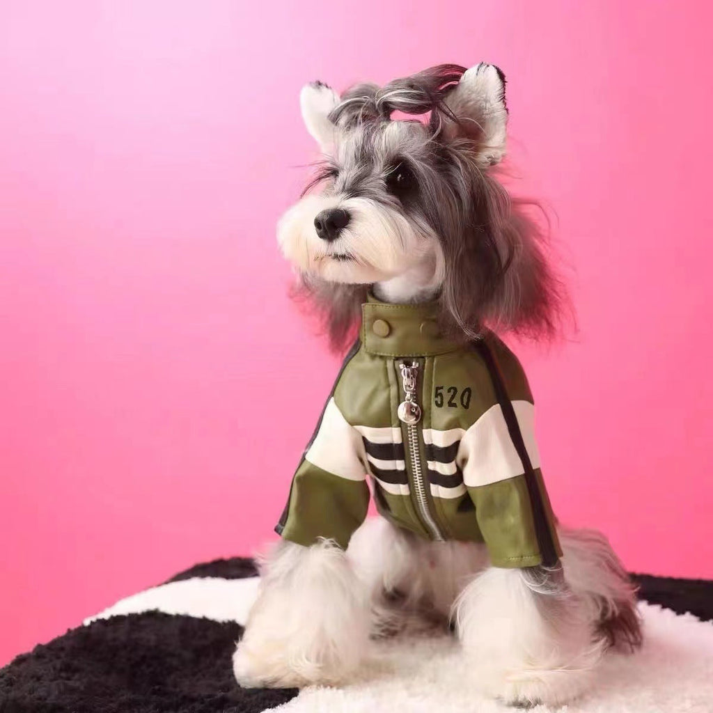 Dog Autumnwinter Clothing Motorcycle Jacket Coat
